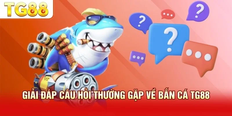 Giải đáp các câu hỏi về game khuyến mãi và tính tương thích