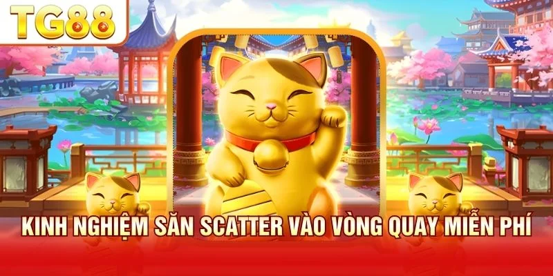 Các chiến lược săn Scatter hiệu quả không chỉ dựa vào may mắn