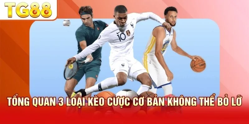 Giải thích kèo Châu Á Châu Âu và Tài Xỉu cho người mới