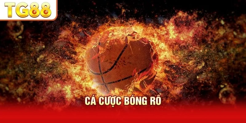 Cá Cược Bóng Rổ