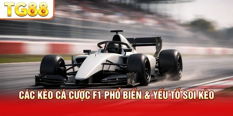 Kèo cược F1 đòi hỏi phân tích tay đua và chiến lược đội đua