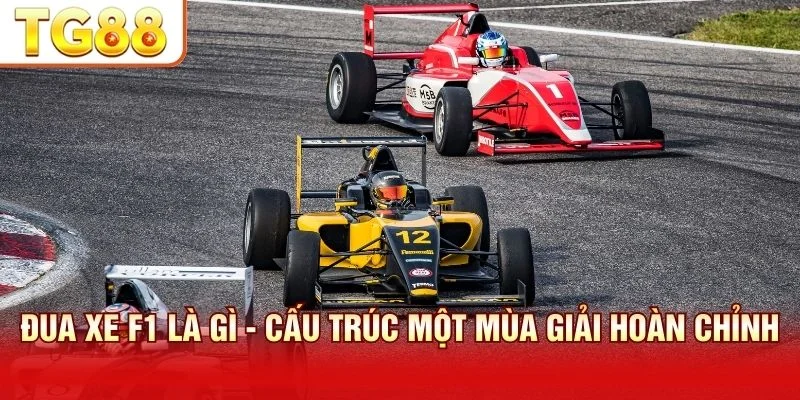 Cấu trúc một mùa giải gồm nhiều chặng đua tính điểm vô địch