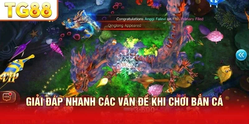 Giải đáp nhanh giúp tránh lỗi thường gặp khi chơi bắn cá online