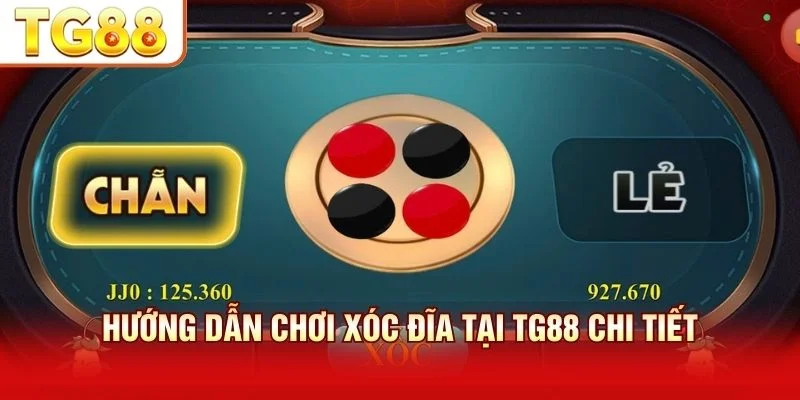 Hướng dẫn chơi tại TG88 gồm các loại cược và bước đặt cược