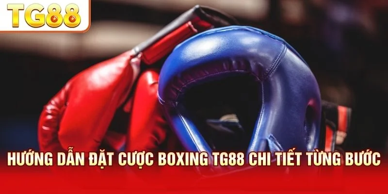 Hướng dẫn đặt cược TG88 qua quy trình bốn bước đơn giản