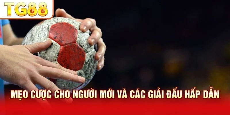 Mẹo cá cược bóng ném nhấn mạnh phân tích và quản lý vốn