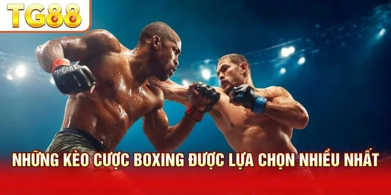 Các loại kèo cá cược boxing thử thách tư duy phán đoán