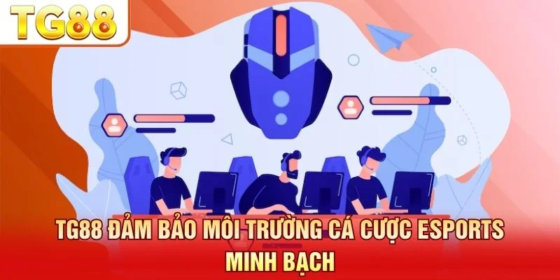 Các khuyến mãi hấp dẫn gồm thưởng nạp đầu và hoàn trả cược